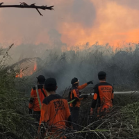 BPBD Samarinda Waspadai “Godzilla El Nino” hingga Oktober