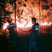 Di Balik Ganasnya Karhutla Kalsel, Ada 3.219 Hotspot dan Jejak Kebakaran Berulang