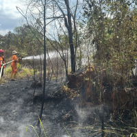 Karhutla Mengintai Bontang, Lahan Kosong Jadi Titik Rawan, Pembakar Terancam Sanksi