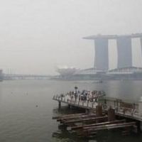 Singapura Panggil 8 Bos Sawit RI: Sinar Mas, Wilmar Hingga Indofood
