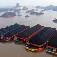 Soal Ratusan Tongkang Ilegal Lepas di Sungai Mahakam, KSOP Angkat Bicara