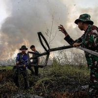 KLH Wanti-Wanti Karhutla Gambut Saat Kemarau, Kalimantan Masuk Wilayah Rentan