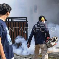 Anak 6 Tahun Meninggal dengan Diagnosis DBD di Bontang, Dinkes: Ada Penyakit Penyerta