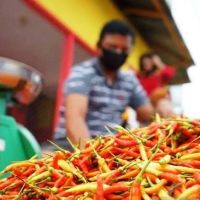 Inflasi Kaltim September Tembus 3,98 Persen, Cabai dan Sayur Jadi Pemicu Utama